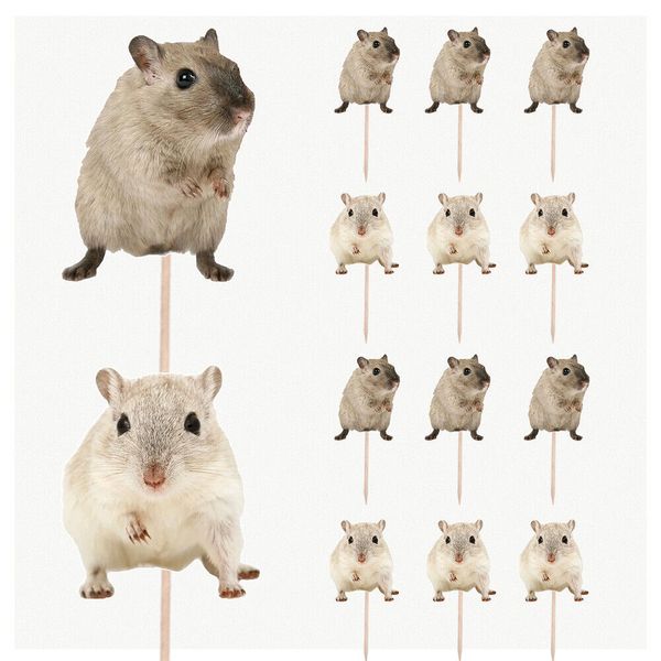 Hamster Pet Birthday Cupcake & Party Food Toppers Decorations Picks 14 Pack