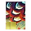 Gun & Game Giftwrap Feathers 2 Sheet 2 Tag