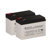 Razor E325 Electric Scooter Battery Set Replacement