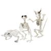 Skeleton Animals - Assorted Spooky Creatures - Perfect for Halloween Decor & Unique Gifts - 1 Pc
