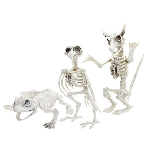 Skeleton Animals - Assorted Spooky Creatures - Perfect for Halloween Decor & Unique Gifts - 1 Pc