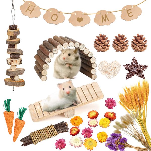 MOMOONNON Hamster Chew Toys Set Natural Wooden Hamster Toys Coconut Hamster House Artificial Plant Dried Flowers Teeth Small Animal Toys Cage Landscaping for Chinchillas Guinea Pigs Pet Mice