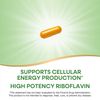 Nature's Way Riboflavin Vitamin B2, Supports Cellular Energy Production*, High Potency Riboflavin, 100 mg per Serving, 100 Capsules (Packaging May Vary)