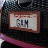 GRAPHICS & MORE Dragon Scales Pattern License Plate Tag Frame