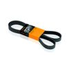 Contitech 6PK1605 V-Ribbed Belts