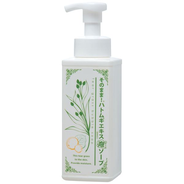 Ready. hatomugi Extract, Foaming Soap 500ml