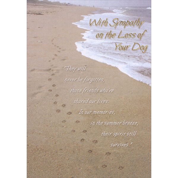 Dog Paw Prints on Sandy Beach Designer Greetings Pet Sympathy Card