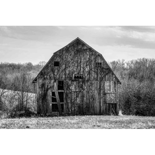 Country Photography Print (Not Framed) Black and White Picture of Rustic Barn Covered in Vines in Missouri Rustic Wall Art Farmhouse Decor (5" x 7")