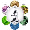 52pc 120X-1200X Starter Compound Microscope Portable Science Kit for Kids School