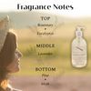 Provence Sante Natural Liquid Soap - Moisturizing Almond Oil Hand Soap with Calming Lavender Scent - Elegant Pump Dispenser for Kitchen & Bath (16.9 oz)