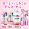 Systema Haguki Plus Toothpaste, Periodontal Disease, Fluorine, 3.2 oz (90 g) x 2 + Toothbrush Included