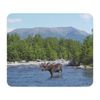 CafePress Moose Mousepad Non-Slip Rubber Gaming Mousepad