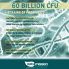 Probiotic 60 Billion CFU- Delayed release Capsules for Immune & Digestive Health