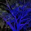 Lunmore Firefly Garden Lights Star Projector Laser Christmas Lights