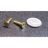 Brass #8  Phillips Flat Head Wood Screw x .750" Length, 100 Pcs