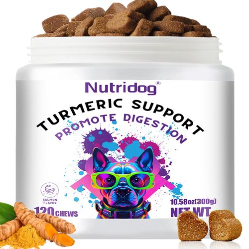 Nutridog Turmeric Chews for Dogs with Curcumin & Coconut Oil Joint Pain Relief, Anti-Inflammatory Antioxidant Support, 120 Salmon-Flavored Soft Chews for Hip & Joint Mobility (120 Ct, Salmon)