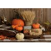 Primitives By Kathy Happy Fall Home Décor Block Sign, 4-inch Square