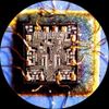 AmScope SW24TX 10x-20x-40x Super Widefield Stereo Trinocular Microscope Head