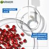 Garnier Sheet Mask (Pack of 5 (All Variant))