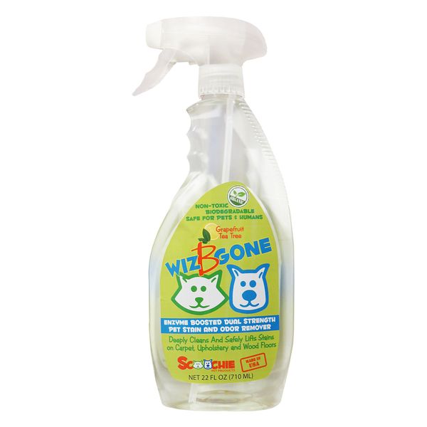 Pet stain and odor remover | 22 ounce | Wizbgone | Dogs and cats stains removal