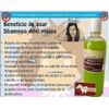 Shampoo Yeguada La Reserva Anti piojos