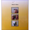 3 PACKS WALL REPAIR PATCH Fix Drywall Hole Ceiling Plaster Damage Metal Mesh 4X4