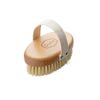 Gute Professional Dry Brush, Dry Skin Body Brush, Dry Brush with Cactus/Vegetable Bristles (Firm/Extra Firm Bristles)