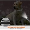 2 Pack Reflective Dog Collar with Safety Locking Buckle, M Size Width 14-20 Inch