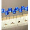 10pcs ELNA 100uf 10v Radial Electrolytic Capacitors /Replacing 6.3v
