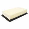 Air Filter  Motorcraft  FA1918
