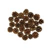 Bright Ideas Natural Pine Cones, Wood, 4-6cm
