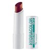 Hydracolor Lip Care - Bois de Rose 31