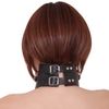 Abyss – abisu Collars Fixed Ball Gag