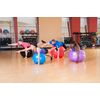 Black Mountain Products Static Strength Exercise Stability Ball with Pump, 2000 lb/65cm, Blue