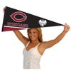 College Flags & Banners Co. Chicago Pennant Full Size Felt