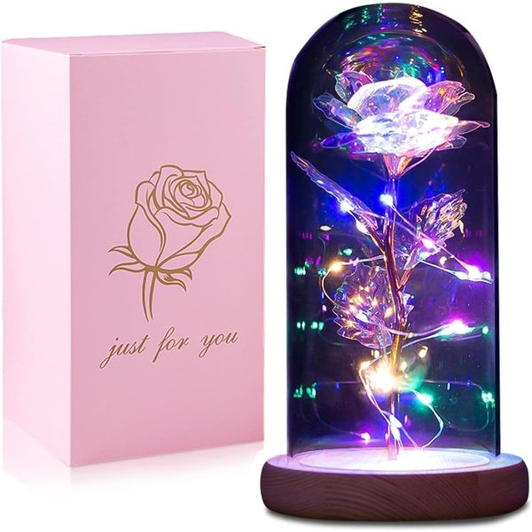 Colorful Rose In A Glass Dome Gifts for Valentine Day Flowers Gifts for Women