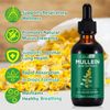 Mullein Drops, Mullein Leaf Extract Drops,Mullein Leaf Liquid Drops, Mullein Herbal Supplements Drops for Fast Absorption (2PCS)
