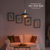 Himalayan Glow 7-Watt, Dimmable Light Bulbs, A19 Salt lamp |, 2-Pack, Pink, 2 Count
