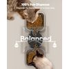 Automatic Cat Feeder for 2 Cats, 20 Cups/5L Automatic Cat Food Dispenser for Sma