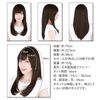 Almond Long Wig, Dark Mocha, Hand Planted, Made of Japanese Fiber, Smooth, Straight, Long, Layered Cut