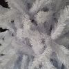 Snowtime 7ft (210cm) White Colorado Pine Christmas Tree with 874 Tips