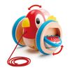 Hape Draw Bird Viola