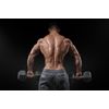 testosteron natural - BODYBUILDING PILLS FOR MEN - tribulus extract 2B