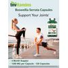 tnvitamins Boswellia Serrata Herbal Extract Capsules | 1200 MG/Capsule (120 Capsules) | Joint Support Supplement* | Ayurvedic Herb: Indian Olibanum/Frankincense