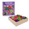Tara Toy LLC Sensory Clay Succulents