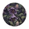 Belladonna Lily Flower Pattern Graphic PopSockets Standard PopGrip