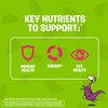 Flintstones Chewable Kids Vitamins with Iron, Multivitamin for Kids & Toddlers with Vitamin D, Vitamin C & more, 60 Count (Pack of 1)