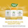 Nature's Way Vitamin B-100 Complex