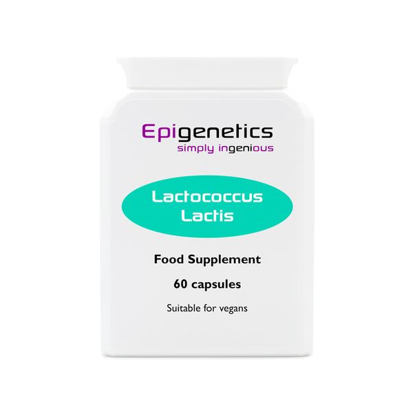 Lactococcus Lactis | 5 Billion CFU Probiotic + Jerusalem Artichoke Prebiotic (Inulin) | 60 Vegan Delayed Release Capsules UK Made | 2 Month Supply