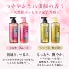 ICHIKAMI THE PREMIUM Extra Damage Care Shampoo (Silky Smooth) Pump, Bonus